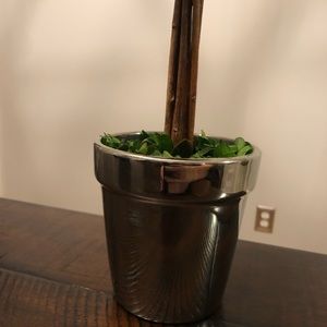 Accents - Boxwood topiary! Accents - Boxwood topiary!